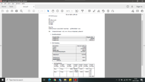 Excel PDF