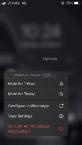 iOS mute notification 2